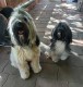 Thumbs/tn_WhatsApp Image 2025-09-11 at 20.09.19 (7).jpg